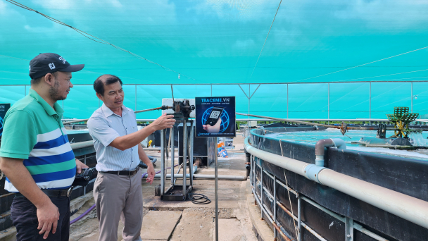Cần thước đo quản lý ngành tôm để chuẩn hóa quy trình kiểm soát dịch bệnh