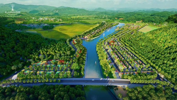 Flamingo làm đẹp những miền xanh Tổ quốc