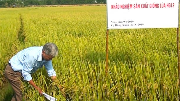 Bộ NN-PTNT bãi bỏ 7 thông tư và bãi bỏ một phần 7 thông tư
