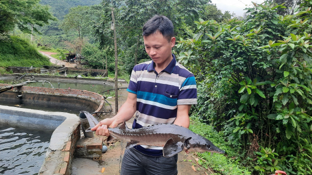 Quảng Ninh có 31 hợp tác xã nông nghiệp ứng dụng công nghệ cao