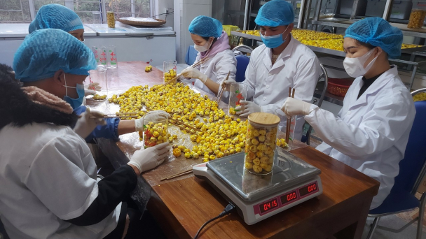 Trên 400 cơ sở sơ chế, chế biến nông sản ở Đất mỏ