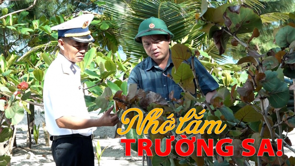Những 'công viên xanh' giữa biển khơi ở Trường Sa