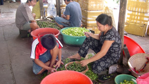 Đồng Tháp giảm tỷ lệ hộ nghèo bình quân 0,4%/năm