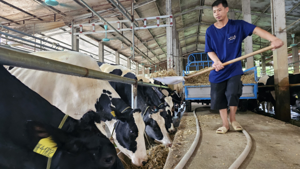 Vĩnh Phúc đầu tư 7,4 tỷ đồng chuyển đổi số nông nghiệp