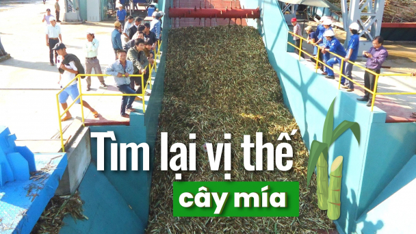 Gượng dậy từ gian khó