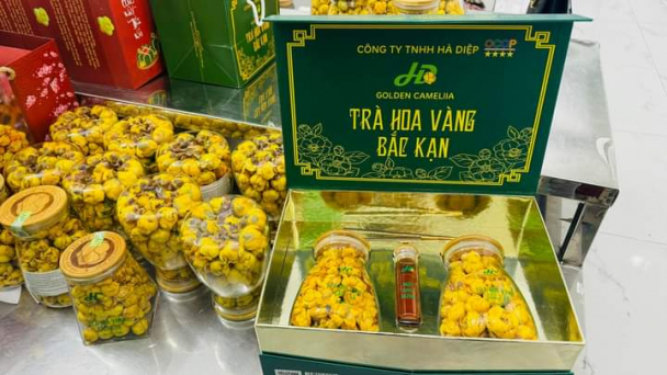 Đầu tư tiền tỷ chế biến sâu, nâng giá trị trà hoa vàng