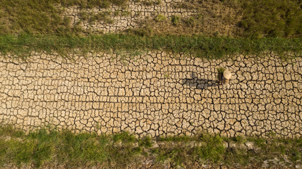 WWF Hoa Kỳ cam kết cùng Việt Nam ứng phó với biến đổi khí hậu