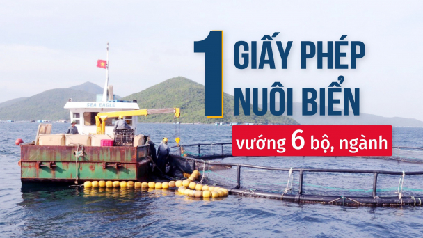 [Bài 3] Bài toán hóc búa ở tỉnh Khánh Hòa