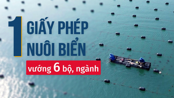 [Bài 6] Đại biểu Quốc hội 'hiến kế' tháo gỡ điểm nghẽn quy hoạch nuôi biển