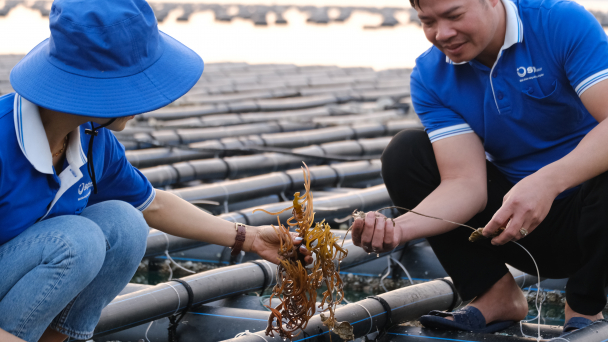 Quảng Ninh 'trải thảm đỏ' thu hút nhà đầu tư nuôi biển
