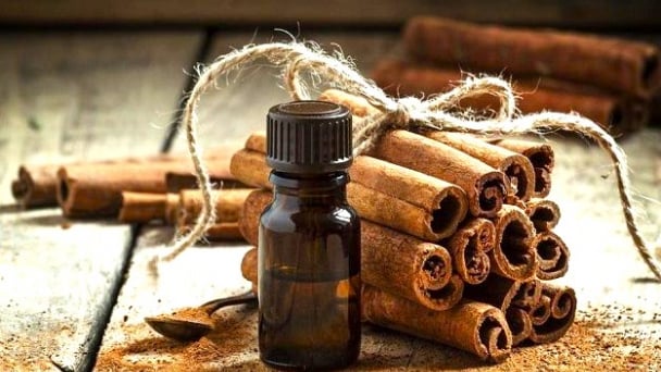 Hàng trăm tấn tinh dầu quế tồn kho, VPSA kiến nghị Chính phủ gỡ khó