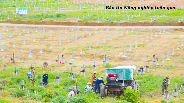 Tránh thất thoát chất xám khoa học về nông nghiệp