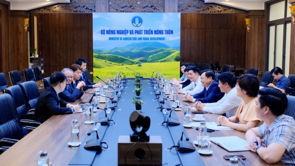 Nhật Bản muốn hỗ trợ Việt Nam xây dựng cơ sở dữ liệu về thiên tai