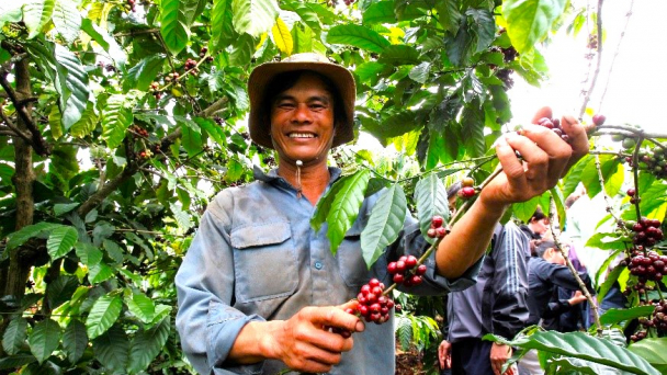 Xuất khẩu nông sản 4 tháng đạt hơn 19 tỷ USD