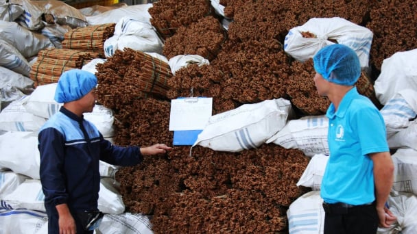 Quy hoạch các trung tâm nông nghiệp ở vùng Trung du và miền núi phía Bắc