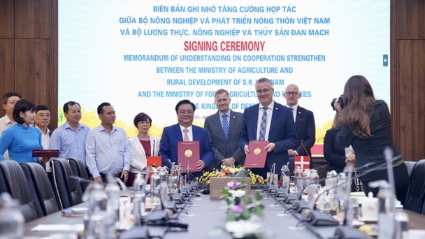 Đan Mạch hỗ trợ doanh nghiệp xây dựng hợp tác công tư trong chăn nuôi lợn