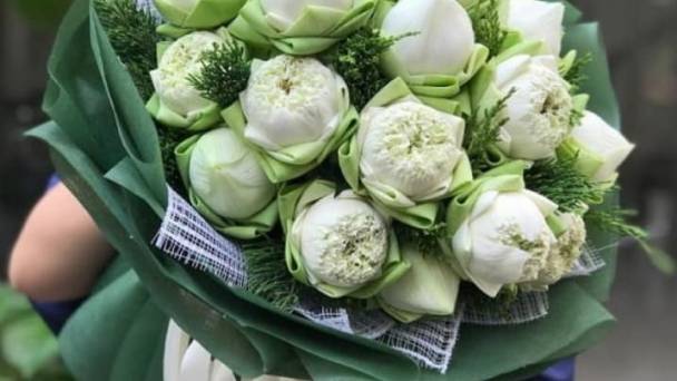 Chọn tạo thành công nhiều giống hoa sen chất lượng tốt