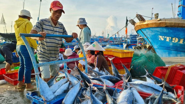 Bản tin Thủy sản ngày 24/5/2024: Ngư dân vươn khơi khai thác vụ cá Nam