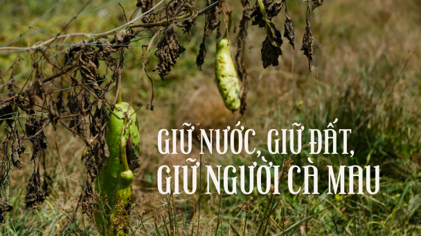 Giữ nước, giữ đất, giữ người Cà Mau