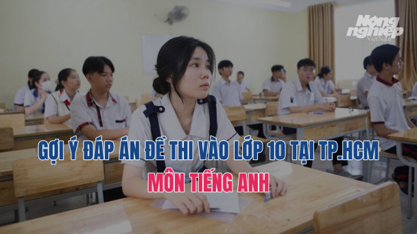 Đề thi, gợi ý đáp án tiếng Anh vào lớp 10 tại TP.HCM năm 2024