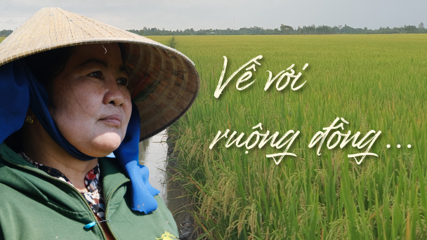 Về với ruộng đồng…