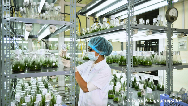 Bảo tồn, phát triển nguồn gen nông nghiệp là lưu giữ bản sắc dân tộc