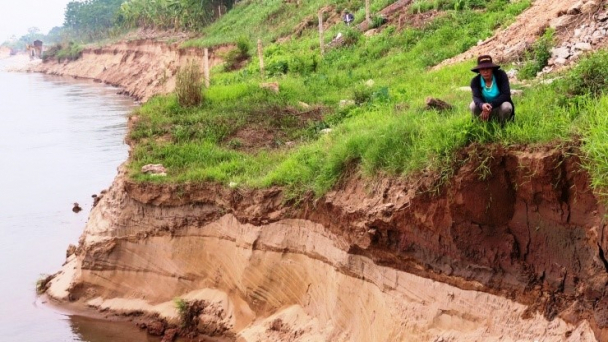 Sạt lở bờ sông Đà, hàng chục ha đất bãi, rau màu bị cuốn trôi