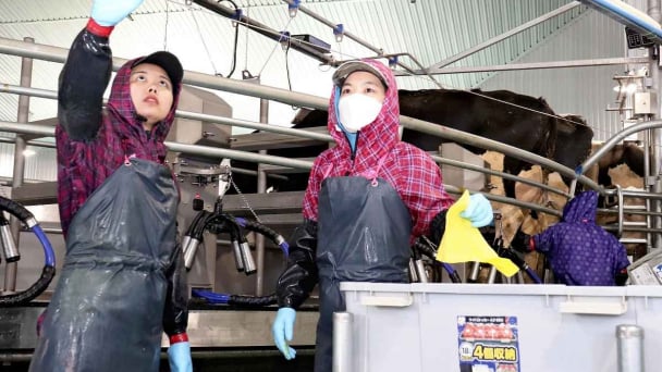 Nhật Bản sẽ thiếu gần 1 triệu lao động nước ngoài vào năm 2040