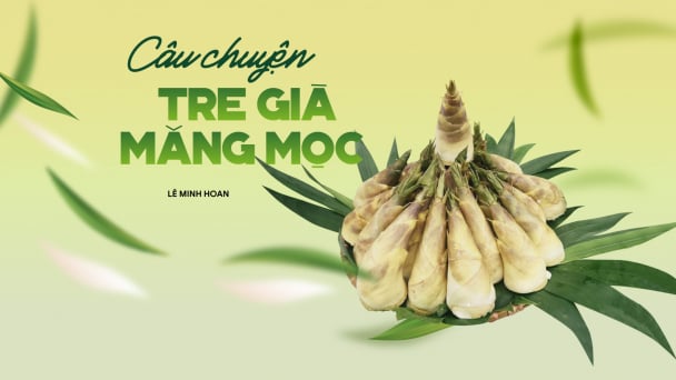 Câu chuyện tre già măng mọc