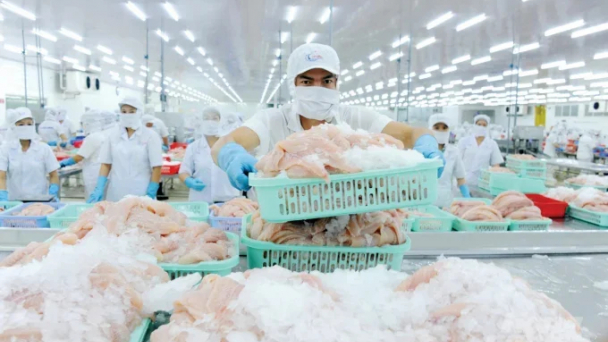 Requirements for seafood exports to key markets