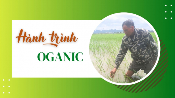 Hành trình Organic: Khởi đầu từ hạ nguồn sông Mã