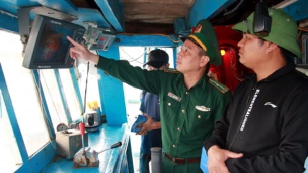 Bản tin Thủy sản ngày 13/8/2024: Hoàn thiện hệ thống VMS trước 20/8