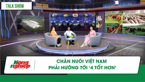 Chăn nuôi Việt Nam phải hướng tới 4 'tốt hơn’