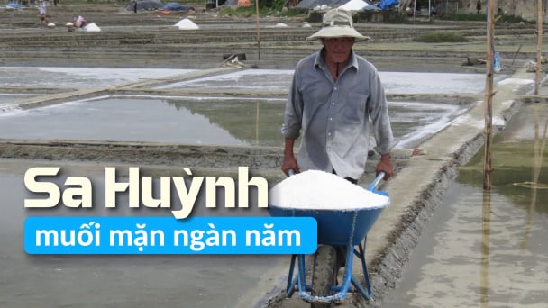 'Gắn sao' cho muối