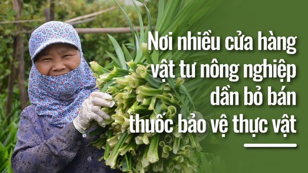 Nơi nhiều cửa hàng vật tư nông nghiệp dần bỏ bán thuốc bảo vệ thực vật