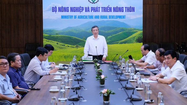 Xuất khẩu dừa tươi: Kiên quyết đình chỉ mã số vùng trồng nếu không tuân thủ