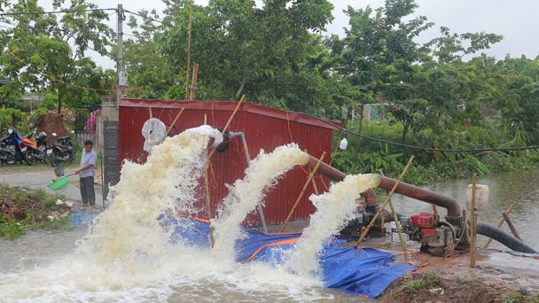 Dừng bơm tiêu nước từ nội đồng vào các sông