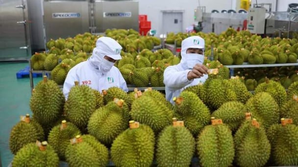 Doanh nhân Việt và những bài học lớn ở thị trường Trung Quốc