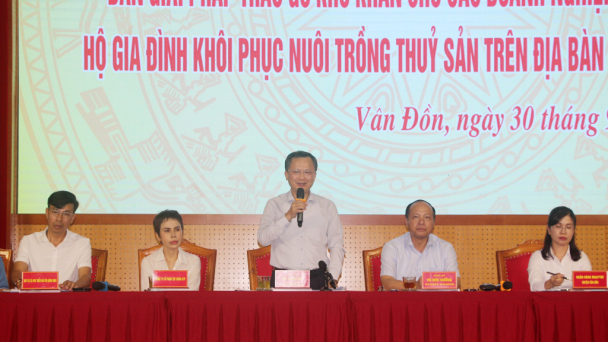 Sớm khôi phục nuôi trồng thủy sản Vân Đồn