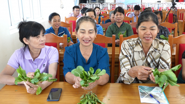 Áp dụng IPM giúp nông dân tăng lợi nhuận tiền triệu mỗi hecta