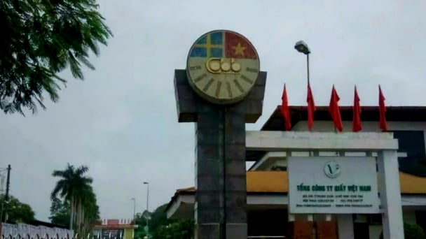 Tổng Công ty giấy Việt Nam xả thải, bị phạt tiền tỷ