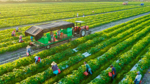 World Bank sẽ tăng nguồn vốn cho lĩnh vực nông nghiệp lên 9 tỷ USD/năm