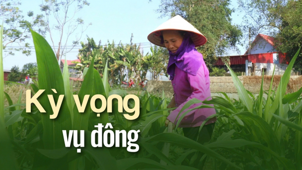 Biến thách thức thành lợi thế
