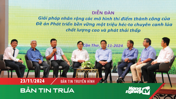 Kỷ niệm một năm thành lập VIETRISA