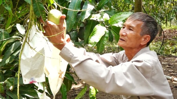 Biến không gian nông thôn thành điểm du lịch nông nghiệp hấp dẫn