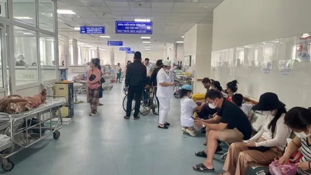 Bộ Y tế chỉ đạo truy xuất tận gốc vụ gần 300 ca ngộ độc
