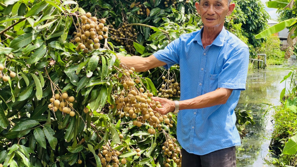 Cần Thơ ký kết 129 chuỗi cung ứng sản phẩm nông, lâm và thủy sản