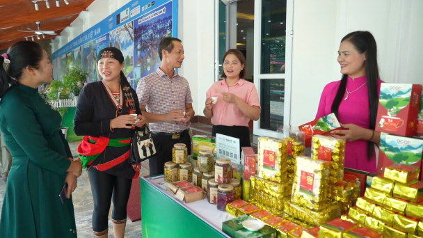 Kết nối giao thương sản phẩm dược liệu của Việt Nam