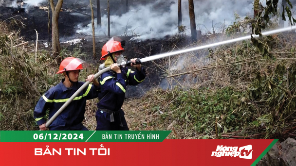 Diễn tập phòng cháy, chữa cháy rừng cấp quốc gia
