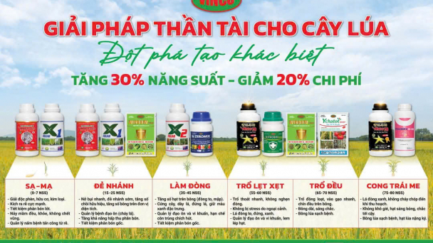 VINCO cung cấp bộ giải pháp 'thần tài' cho người trồng lúa